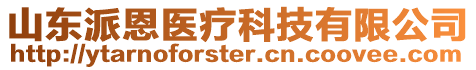 山東派恩醫(yī)療科技有限公司