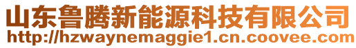 山東魯騰新能源科技有限公司