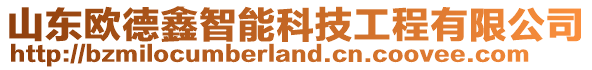 山東歐德鑫智能科技工程有限公司
