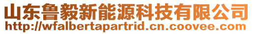 山東魯毅新能源科技有限公司