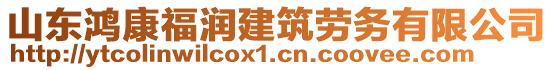 山東鴻康福潤(rùn)建筑勞務(wù)有限公司