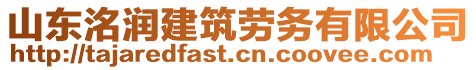 山東洺潤建筑勞務(wù)有限公司