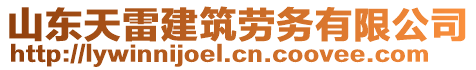 山東天雷建筑勞務(wù)有限公司