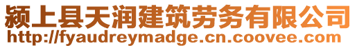 潁上縣天潤(rùn)建筑勞務(wù)有限公司