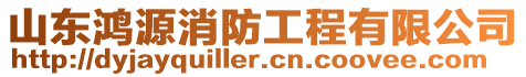 山東鴻源消防工程有限公司