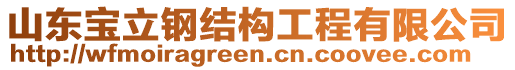 山東寶立鋼結(jié)構(gòu)工程有限公司