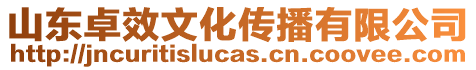 山東卓效文化傳播有限公司