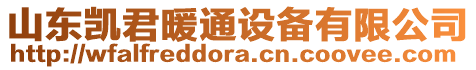 山東凱君暖通設(shè)備有限公司