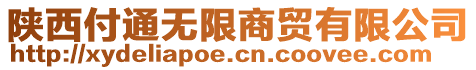 陜西付通無限商貿(mào)有限公司