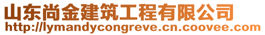 山東尚金建筑工程有限公司