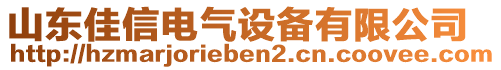 山東佳信電氣設備有限公司