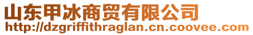 山東甲冰商貿(mào)有限公司