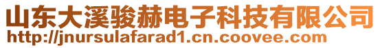 山東大溪駿赫電子科技有限公司