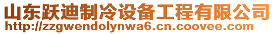 山東躍迪制冷設(shè)備工程有限公司