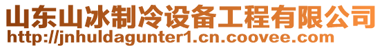 山東山冰制冷設(shè)備工程有限公司