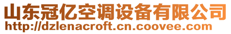 山東冠億空調(diào)設(shè)備有限公司