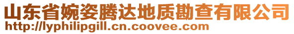 山東省婉姿騰達(dá)地質(zhì)勘查有限公司