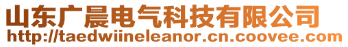 山东广晨电气科技有限公司