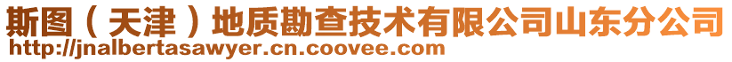 斯圖（天津）地質(zhì)勘查技術(shù)有限公司山東分公司