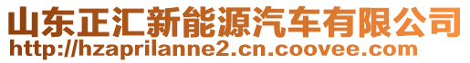 山東正匯新能源汽車有限公司