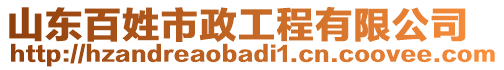 山東百姓市政工程有限公司