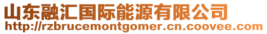山東融匯國際能源有限公司
