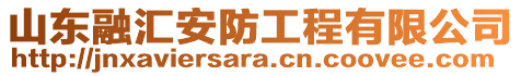 山東融匯安防工程有限公司