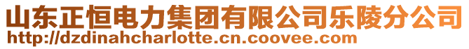 山東正恒電力集團有限公司樂陵分公司