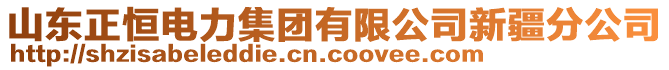 山東正恒電力集團(tuán)有限公司新疆分公司