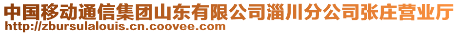 中國移動通信集團(tuán)山東有限公司淄川分公司張莊營業(yè)廳