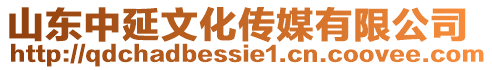 山東中延文化傳媒有限公司