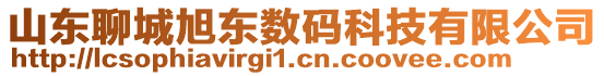 山東聊城旭東數(shù)碼科技有限公司