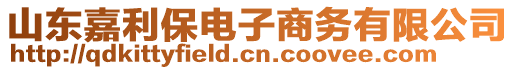 山東嘉利保電子商務(wù)有限公司