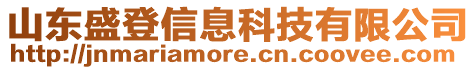 山東盛登信息科技有限公司