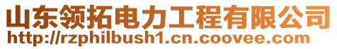 山東領(lǐng)拓電力工程有限公司