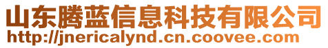 山東騰藍(lán)信息科技有限公司