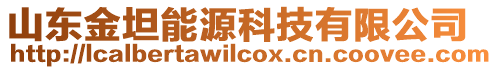 山東金坦能源科技有限公司