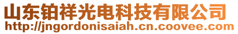 山東鉑祥光電科技有限公司