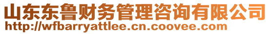 山東東魯財務(wù)管理咨詢有限公司