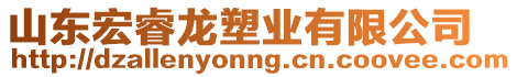 山東宏睿龍塑業(yè)有限公司