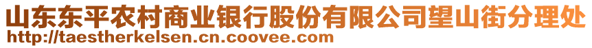 山东东平农村商业银行股份有限公司望山街分理处