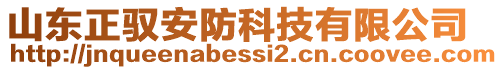 山東正馭安防科技有限公司