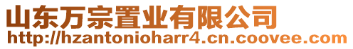 山東萬宗置業(yè)有限公司