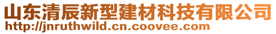 山東清辰新型建材科技有限公司