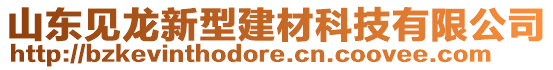 山東見龍新型建材科技有限公司