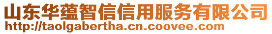 山東華蘊智信信用服務(wù)有限公司