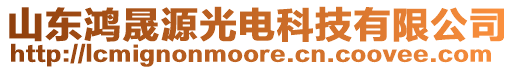 山東鴻晟源光電科技有限公司