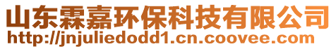 山东霖嘉环保科技有限公司