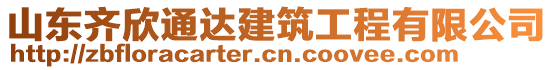 山東齊欣通達(dá)建筑工程有限公司