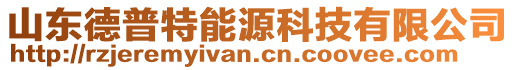 山東德普特能源科技有限公司